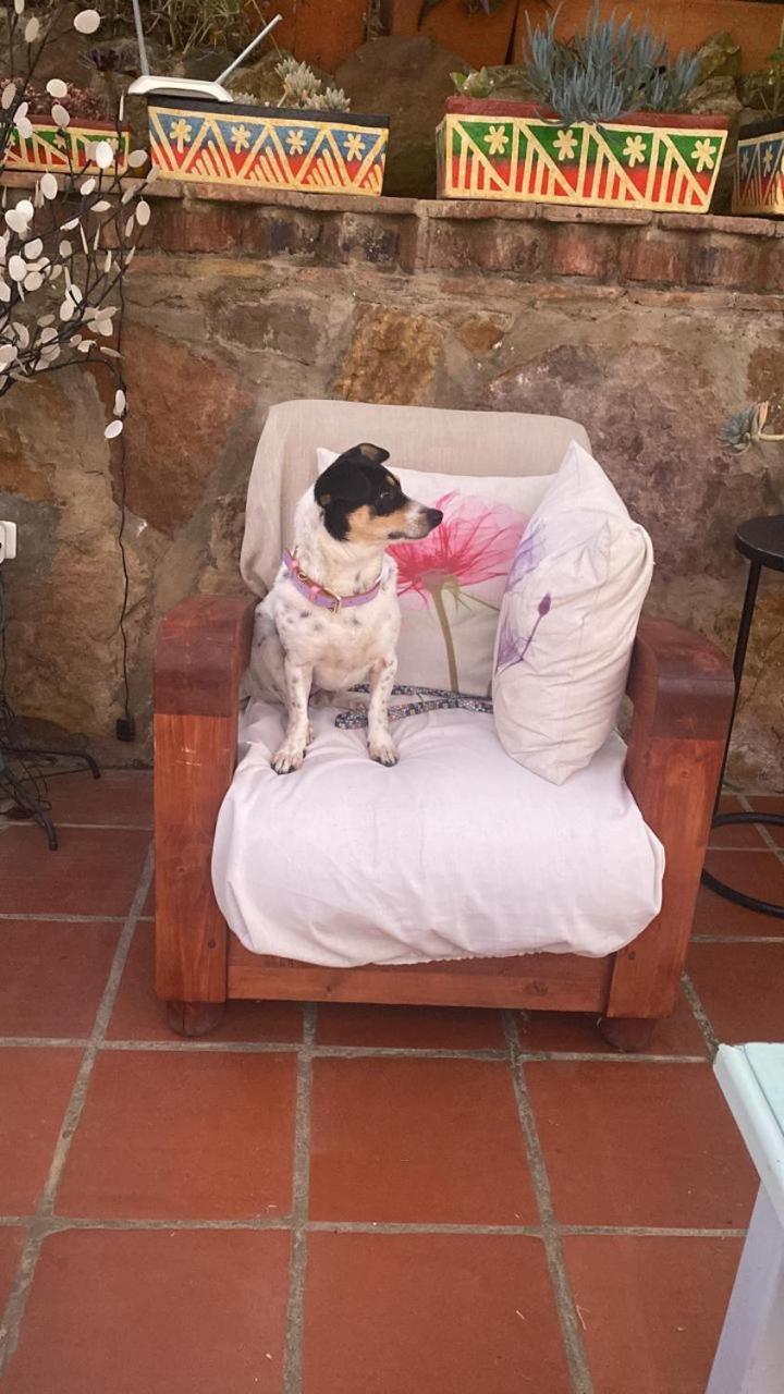 Casa Hotel San Pedro Villa de Leyva Eksteriør bilde